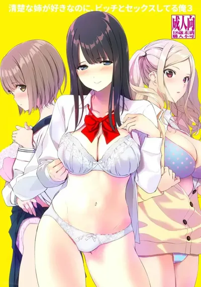 Seiso na Ane ga Suki nanoni, Bitch to Sex Shiteru Ore 3's main title page