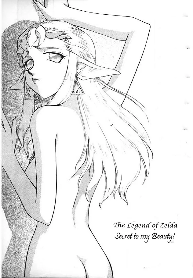 Legend of Zelda; Secret to my Beauty's first page