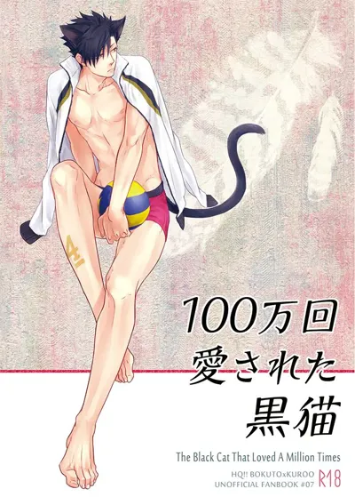 Hyaku Man Kai Aisareta Kuro Neko | 爱了一百万次的黑猫's main title page