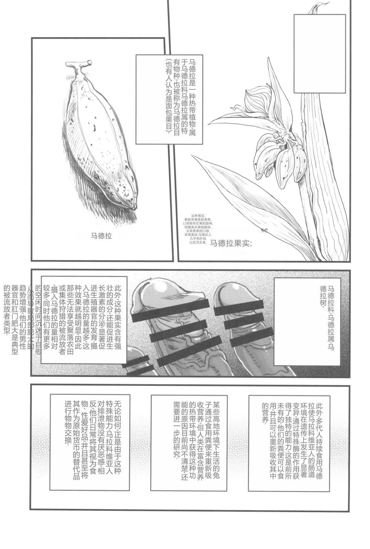 Dankon no Ethnography -Malakovia no Sei to Haisetsu- | 格拉・阿玛拉科维亚的性与排泄-男根的欲望 | Page 11