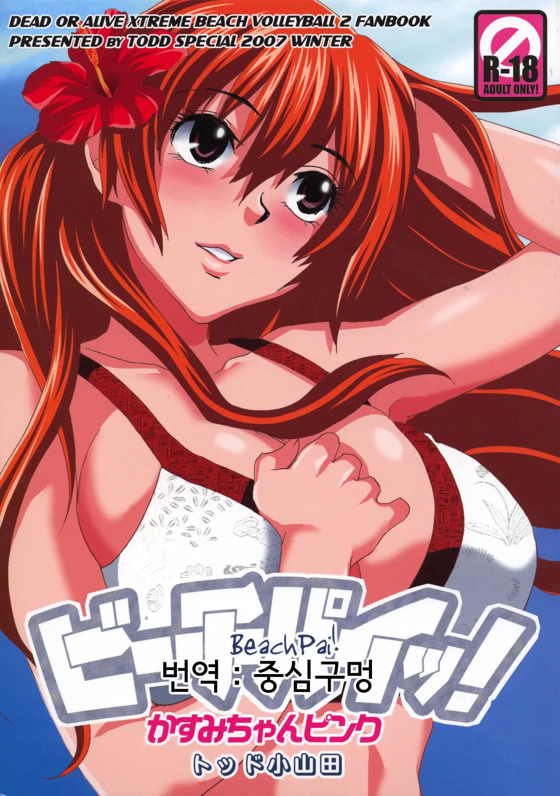 (C73) [Todd Special (Todd Oyamada)] Beach Pai! Kasumi-chan Pink (Dead or Alive Xtreme Beach Volleyball) [Korean] [중심구멍]'s first page